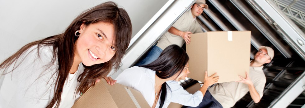 Professional Removalists Levenstrath